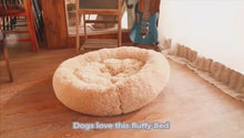 Load and play video in Gallery viewer, CHARLIE&#39;S Cozy Pet Couch/Bed
