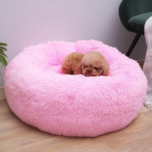 Load image into Gallery viewer, CHARLIE&#39;S Cozy Pet Couch/Bed
